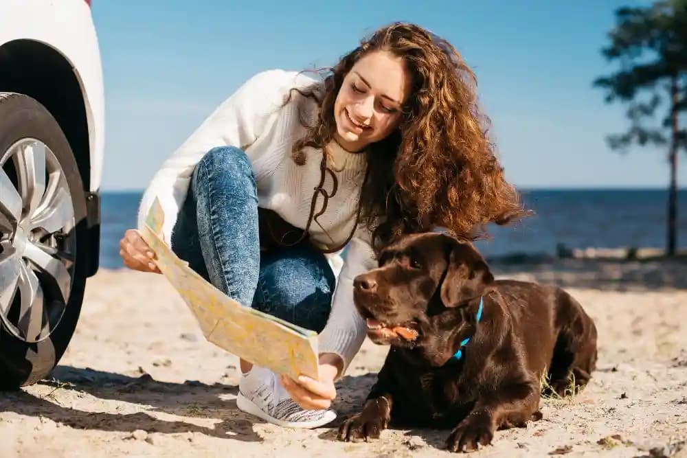 Vrouw met hond op strand kijkt naar landkaart