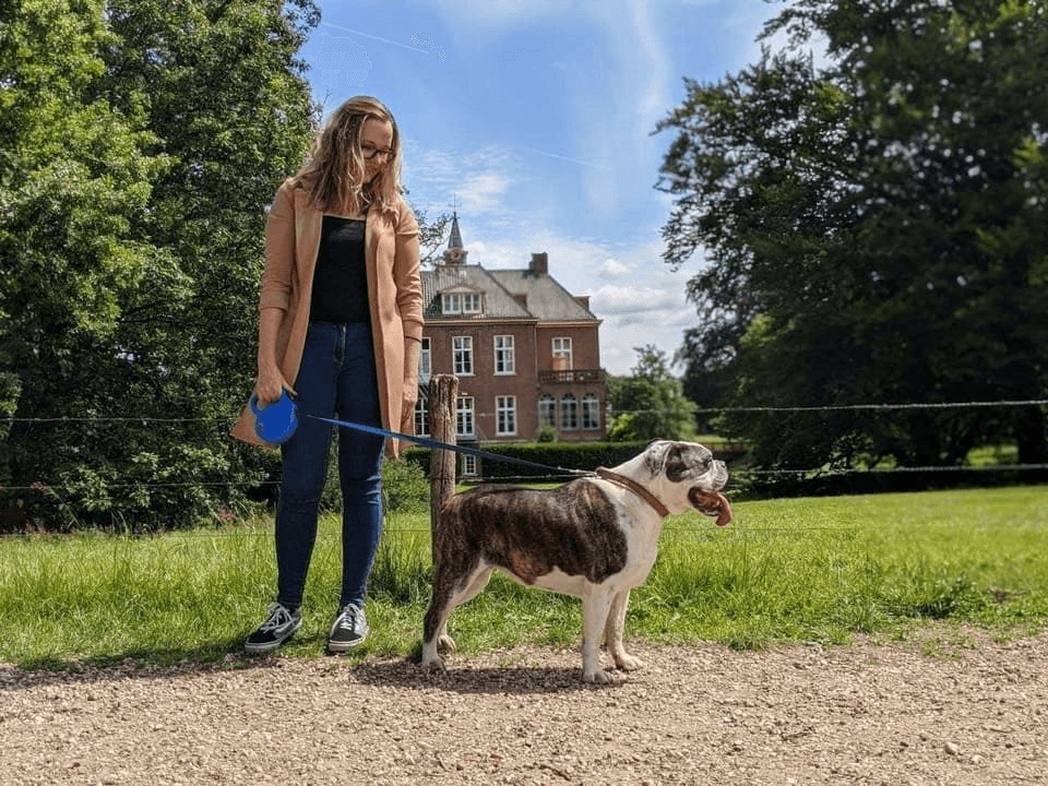 Hondenuitlaatservice in de Enka wijk, Ede