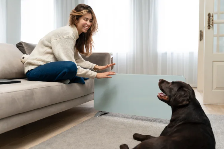 Hotel met hond boeken in Europa