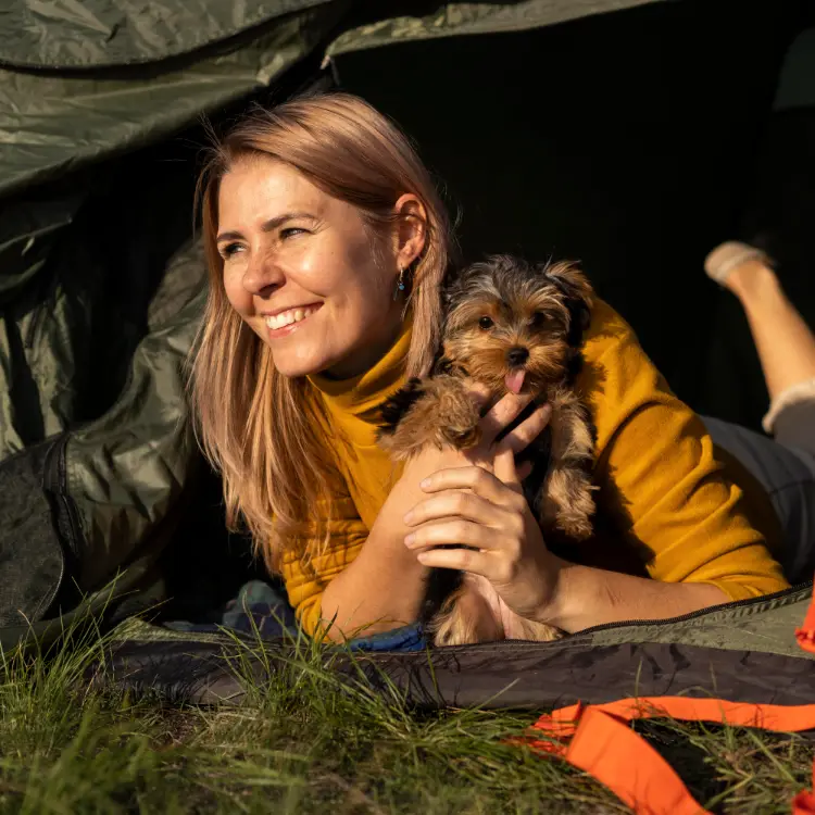 Hond op camping in de natuur