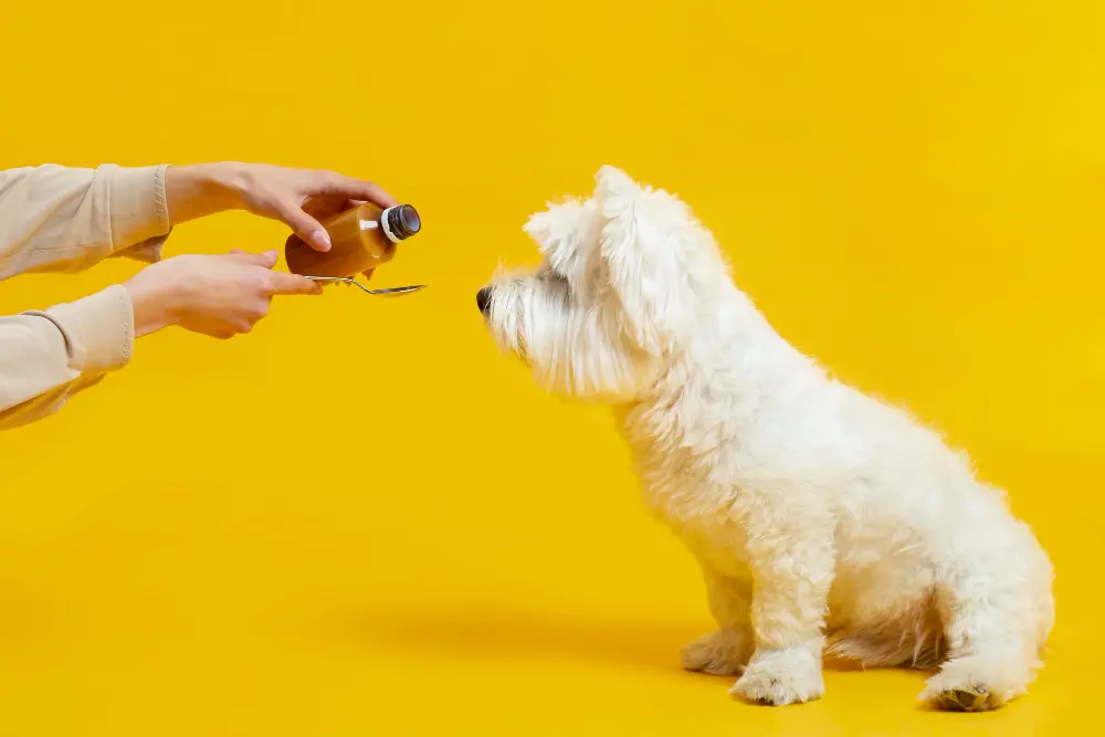Hondensupplementen — gewrichten, visolie en probiotica vergelijken via Doggy Time